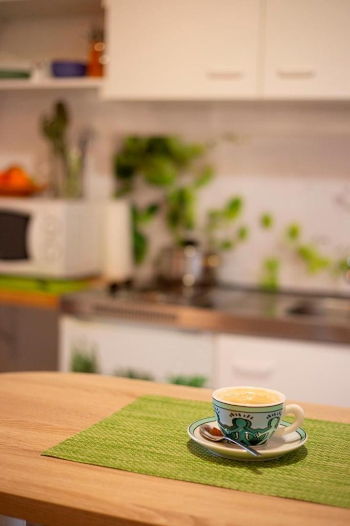 Bed and Breakfast Haus Rose Allensbach Exteriér fotografie
